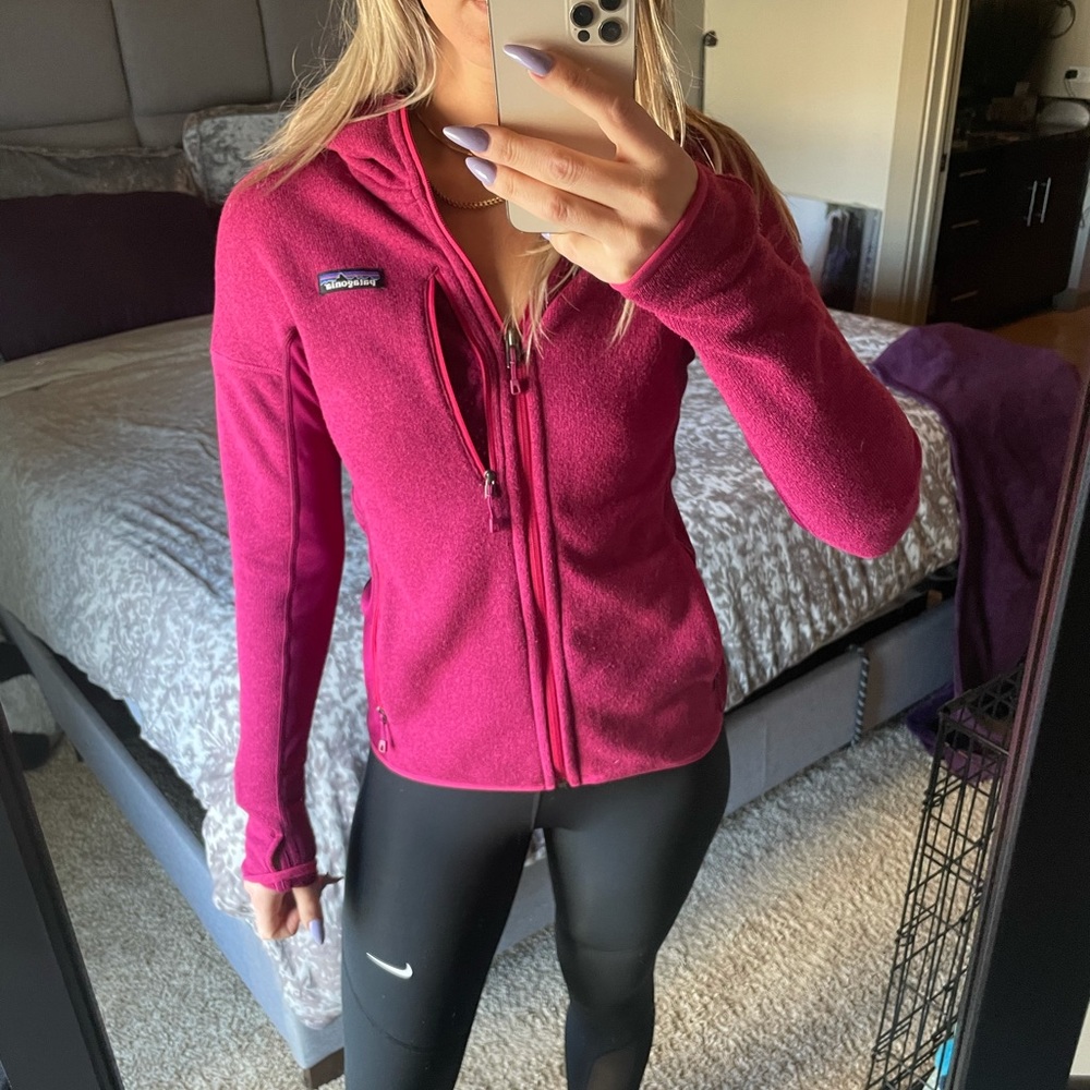 Patagonia Better Sweater Hoody